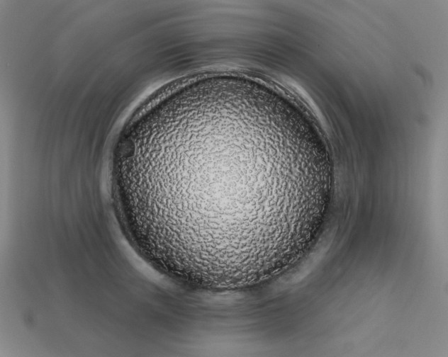 X0000113530851200910091221