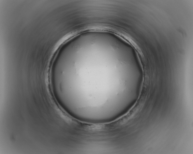 X0000113530853200910091221