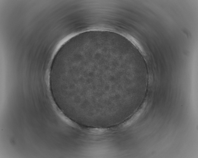 X0000113530854200910091221