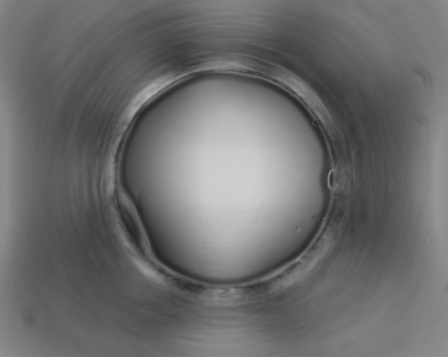 X0000113530858200910091222