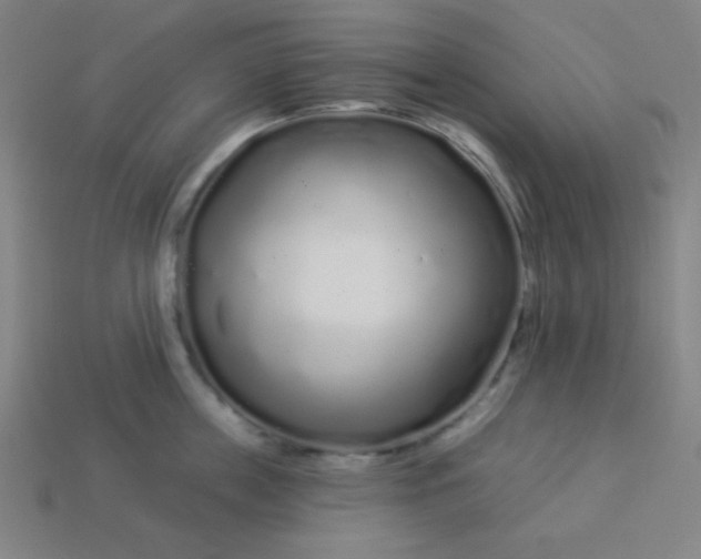 X0000113530859200910091222