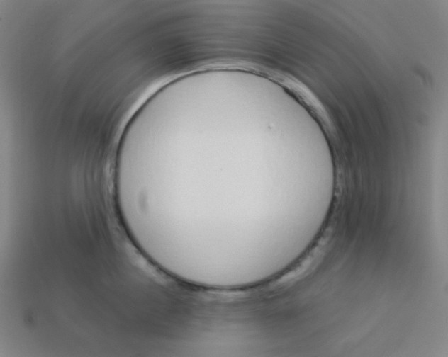 X0000113530860200910091222