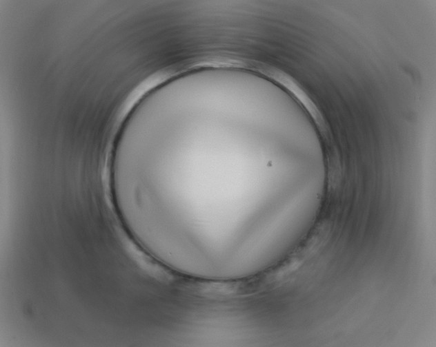 X0000113530861200910091222