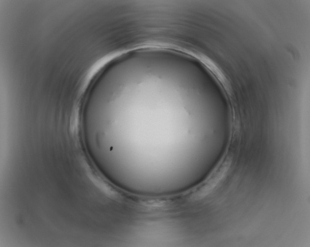 X0000113530862200910091222