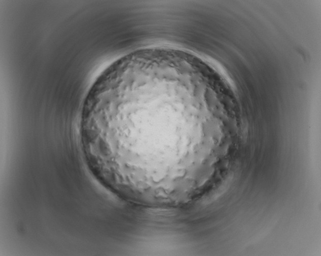 X0000113530863200910091222