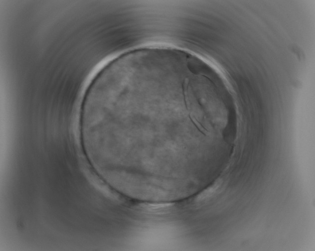 X0000113530864200910091222