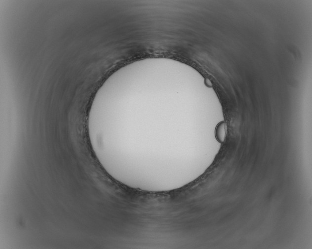 X0000113530865200910091221