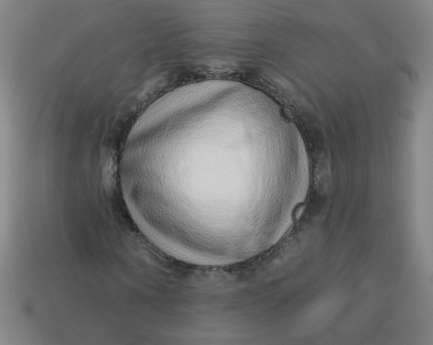 X0000113530866200910091221