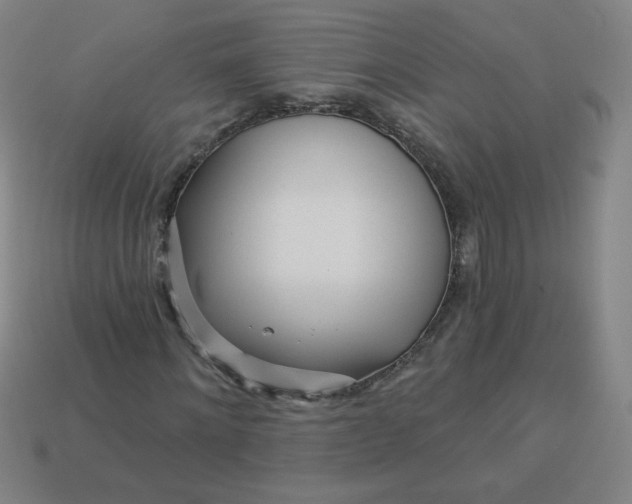 X0000113530868200910091221