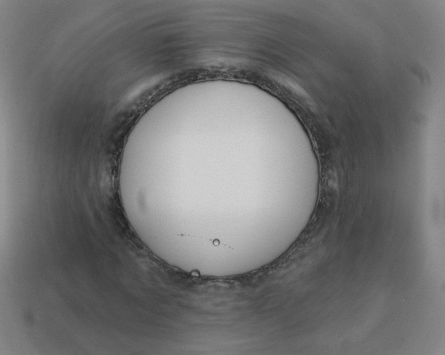 X0000113530869200910091221