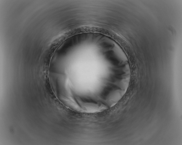 X0000113530870200910091221