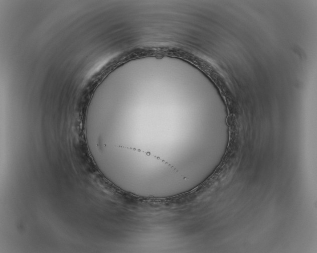 X0000113530871200910091221