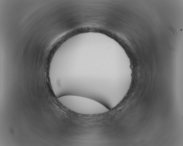 X0000113530872200910091221