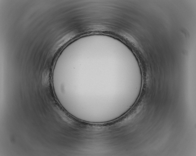 X0000113530873200910091221