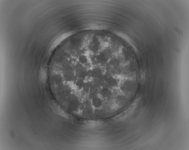 X0000113530874200910091221