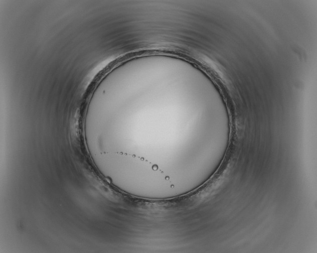 X0000113530875200910091221