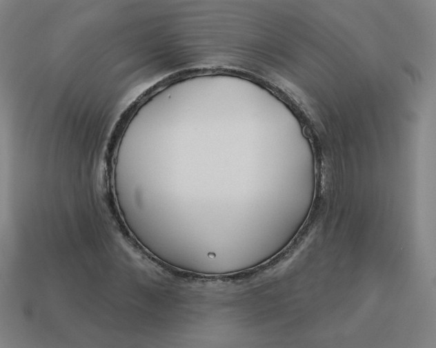 X0000113530876200910091221