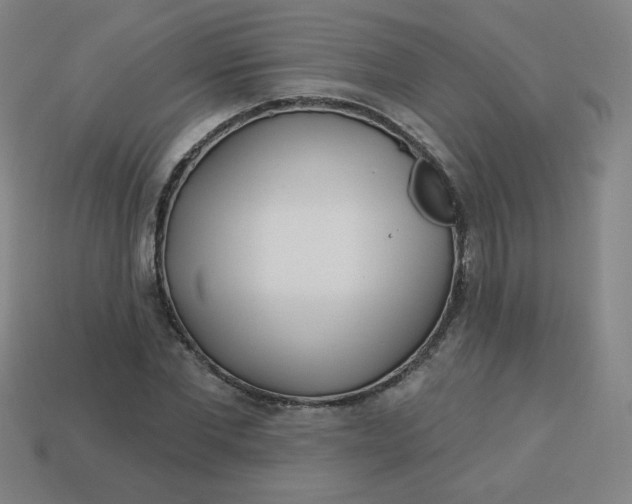 X0000113530877200910091221