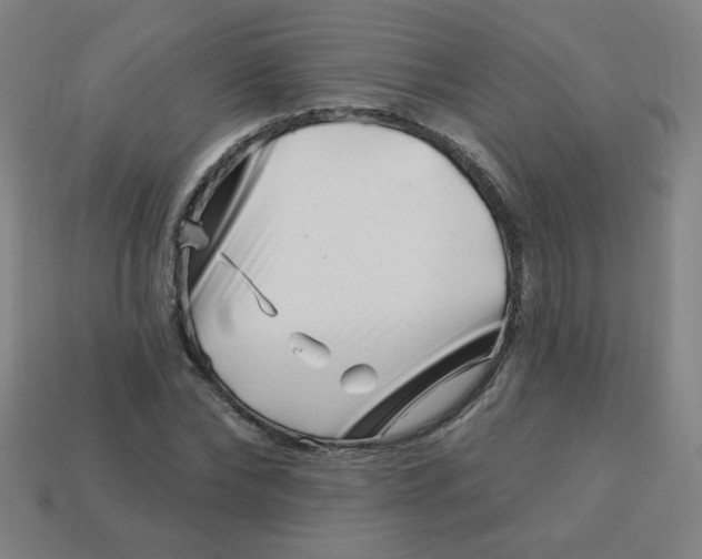 X0000113530878200910091221