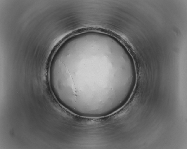 X0000113530879200910091221