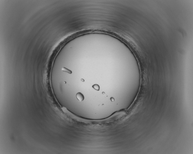 X0000113530880200910091221