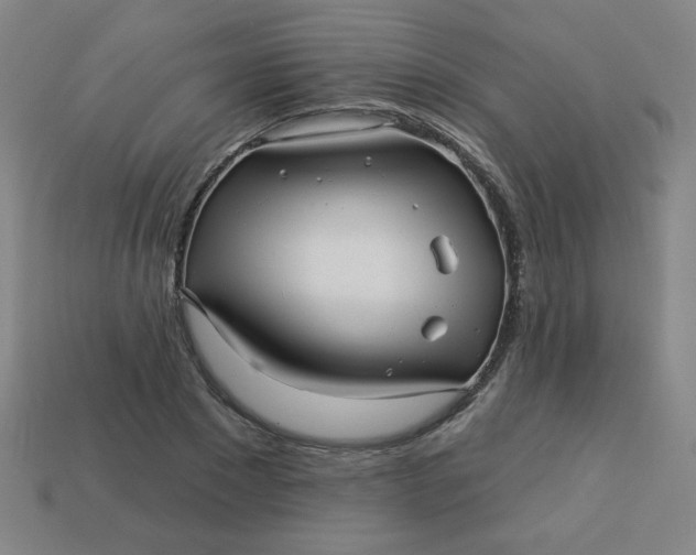 X0000113530881200910091221