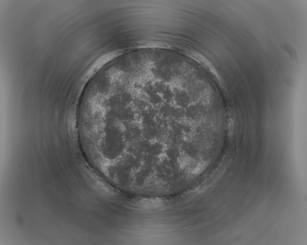 X0000113530882200910091221