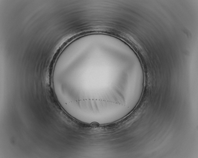 X0000113530883200910091221