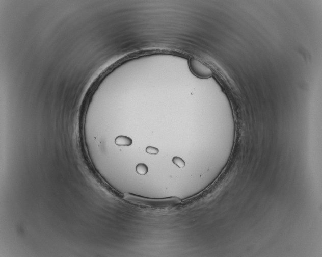 X0000113530884200910091221