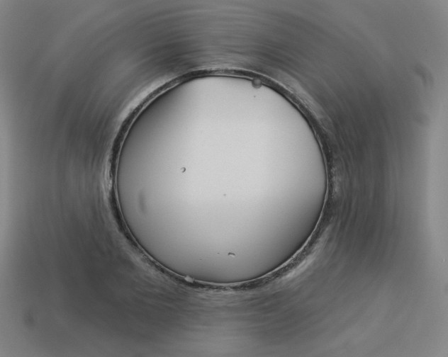 X0000113530885200910091221