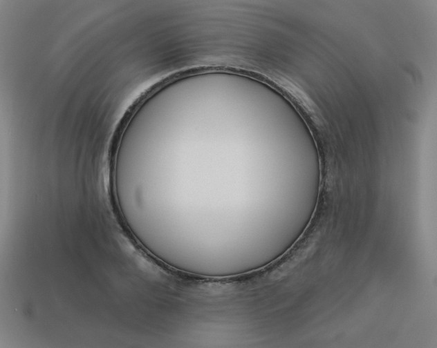 X0000113530888200910091220