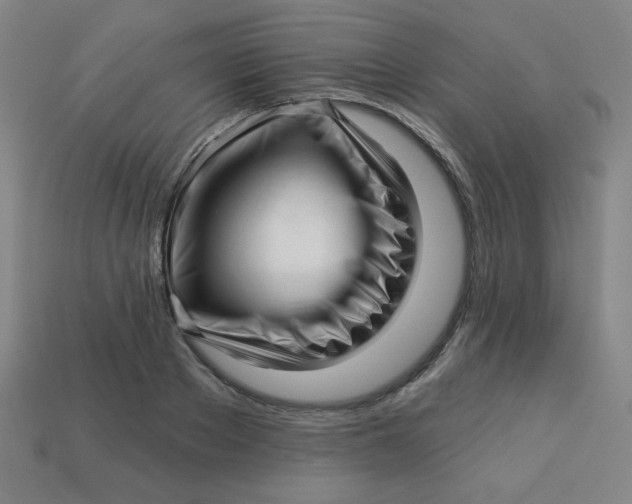 X0000113530889200910091220