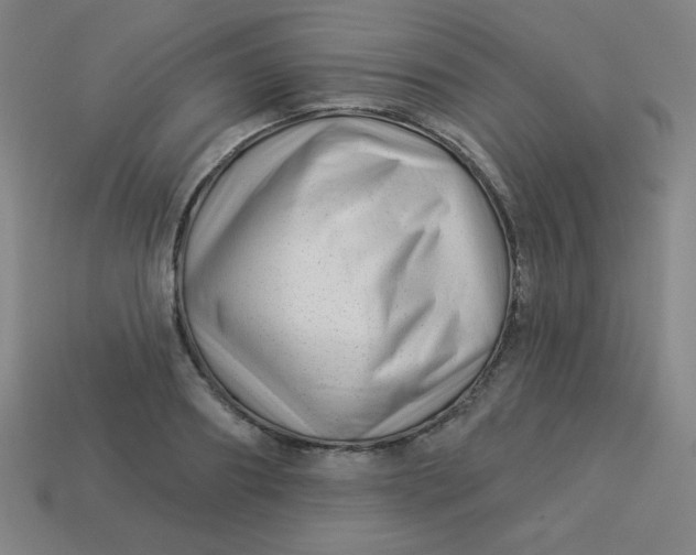 X0000113530890200910091220