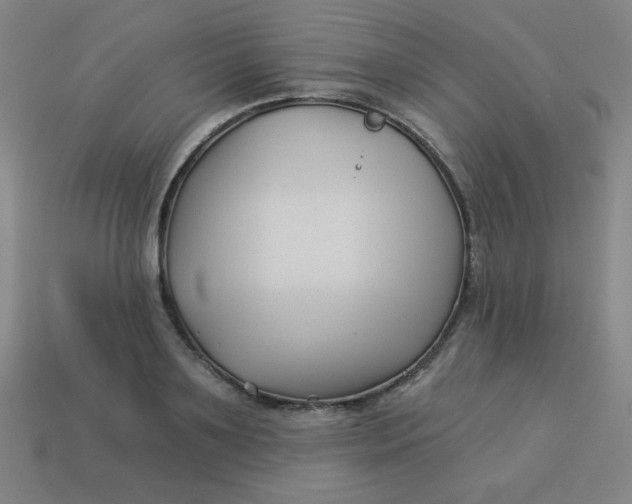 X0000113530891200910091220