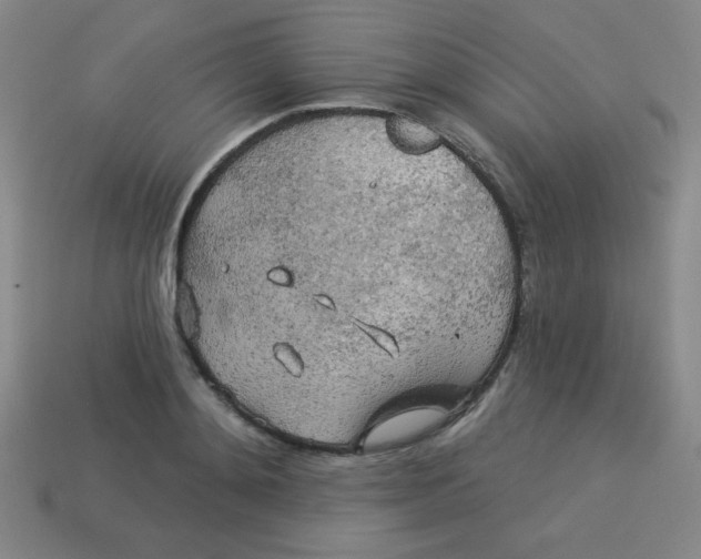 X0000113530892200910091220