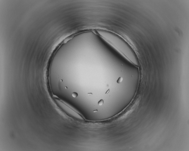 X0000113530893200910091220