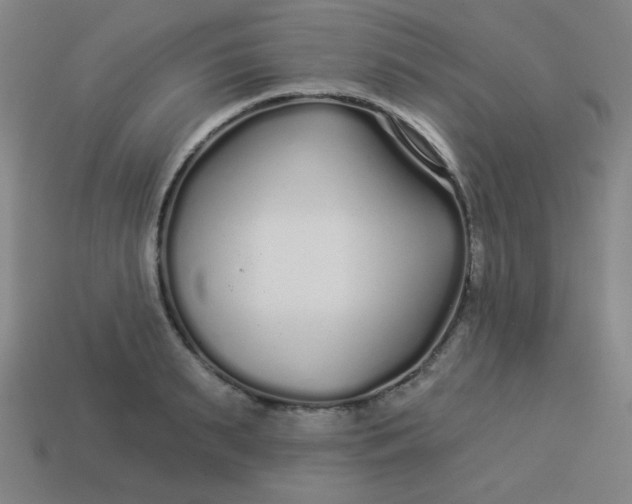 X0000113530895200910091220