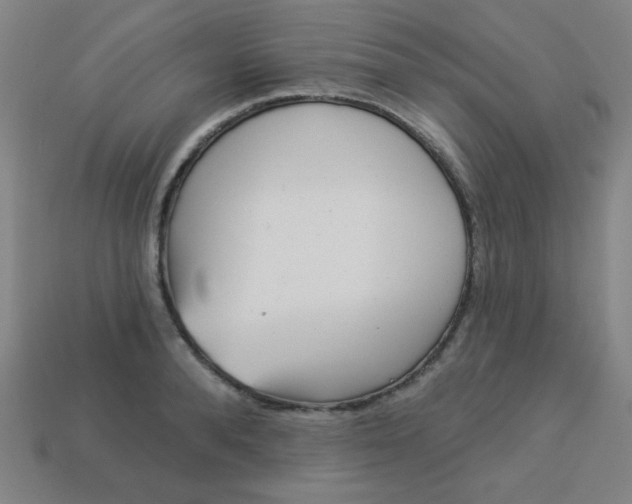 X0000113530896200910091220