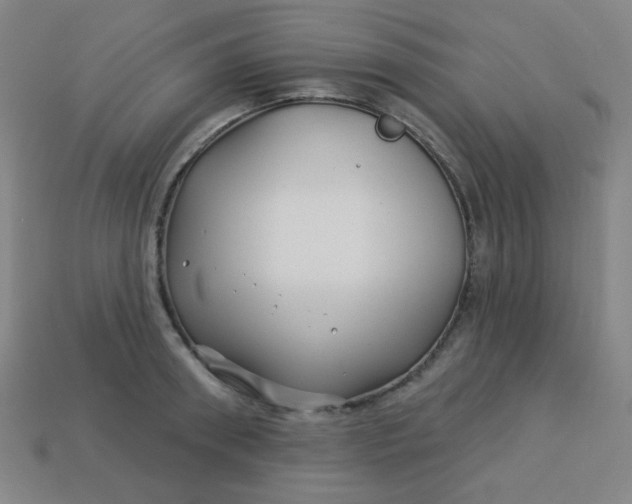 X0000113530898200910091220