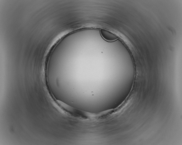 X0000113530902200910091220