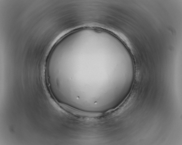 X0000113530903200910091220