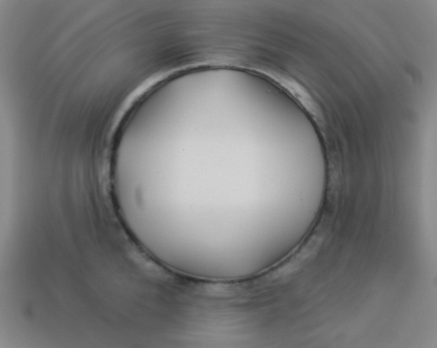 X0000113530904200910091220