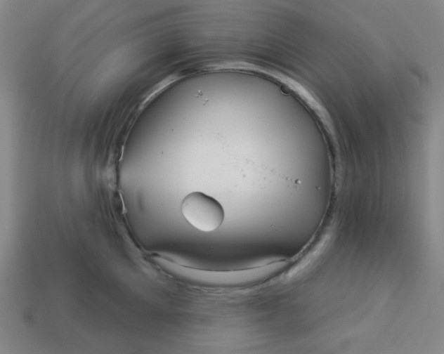 X0000113530905200910091220