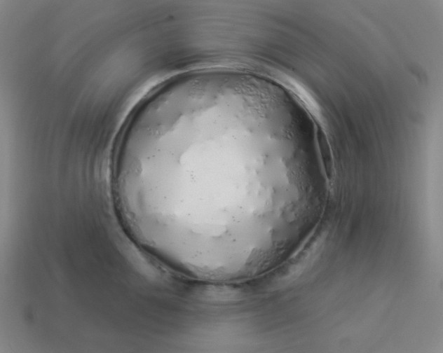 X0000113530907200910091220