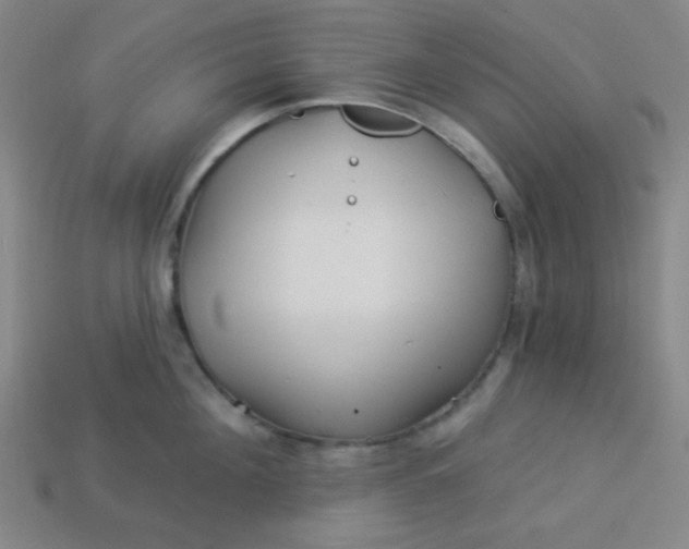 X0000113530908200910091220