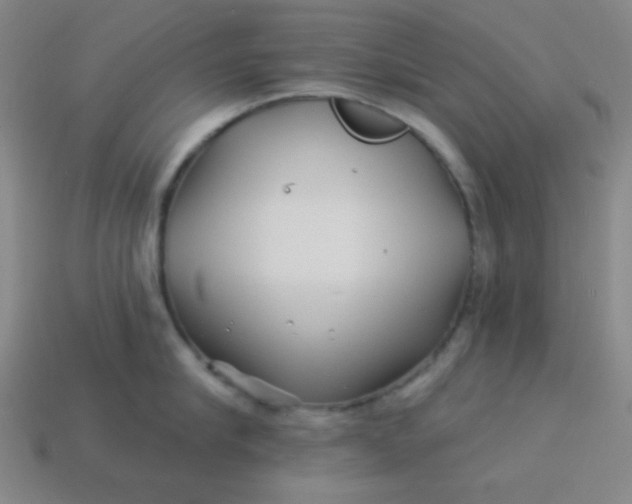 X0000113530910200910091220