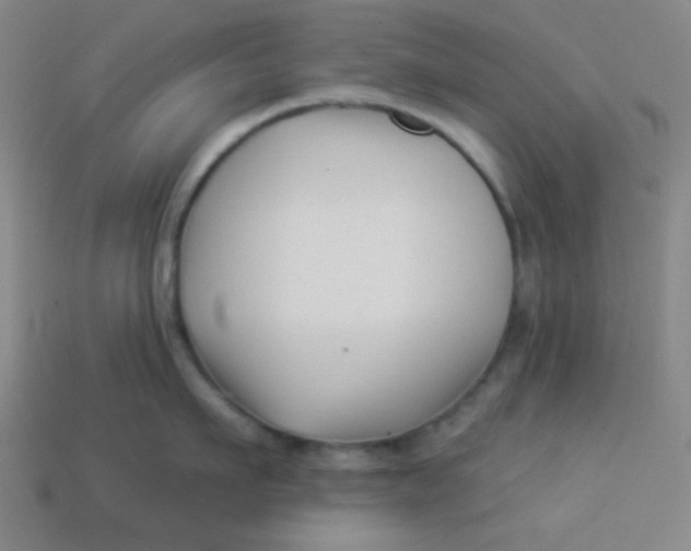 X0000113530911200910091220