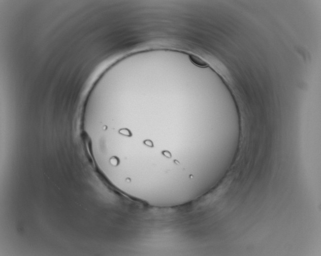 X0000113530912200910091220