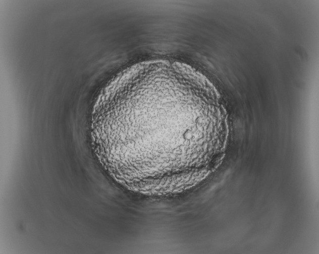 X0000113530913200910091220