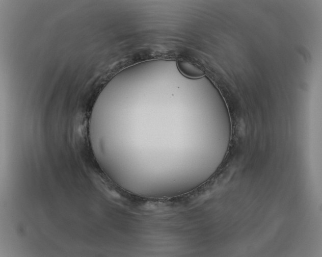 X0000113530914200910091220